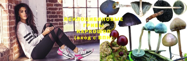 ECSTASY Армянск